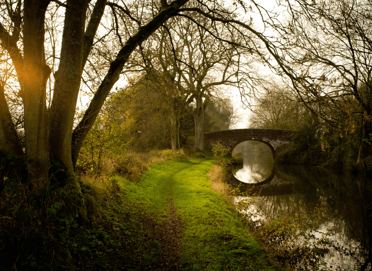 A bridge on the Avon Canal, brightly lit by winter light