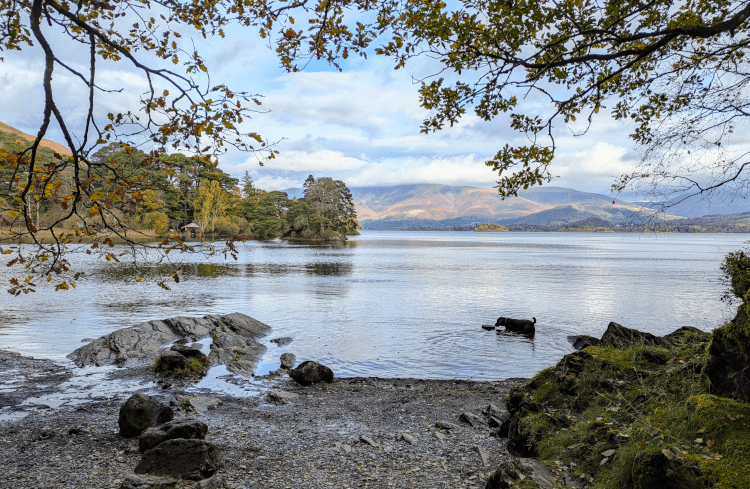 Views over the calming waters of a Lake District tarn, with the imposing fells in the background.