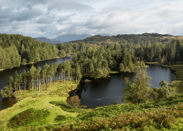 Tarn Hows as viewed from above: glassy water surrouned by lush greenery.