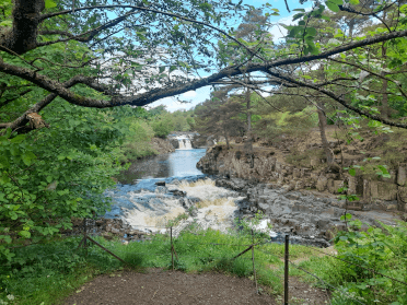 Water rushes over a large rockface, Low Force, in a beautiful woodland area on the Pennine Way.