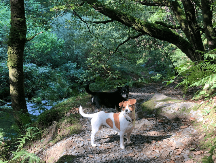 Ralph and Mindy by the river.