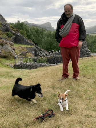 Mindy, Ralph and Joe stand in the grass in the countryside.