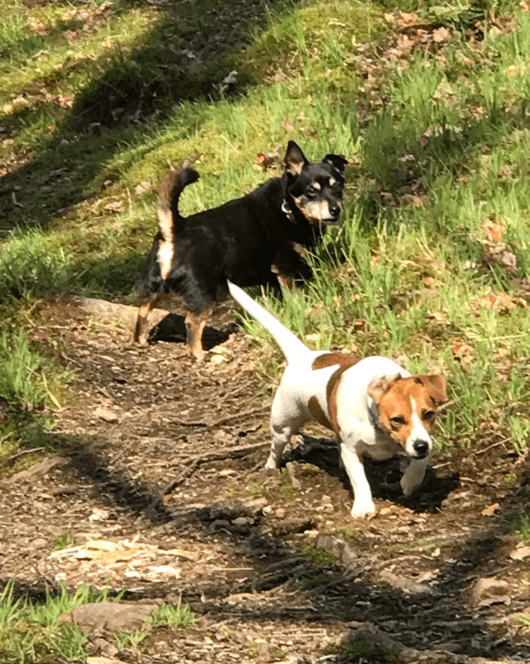 Ralph looks on as Mindy steams ahead