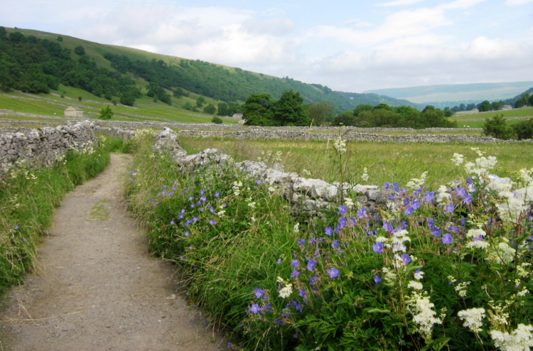 The Dales Way near Wharfe