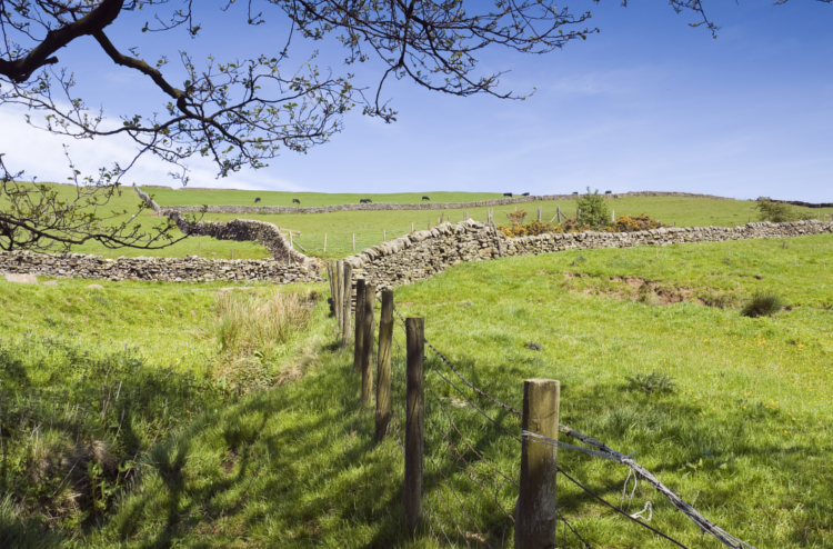 Walking the Nidderdale Way in Yorkshire