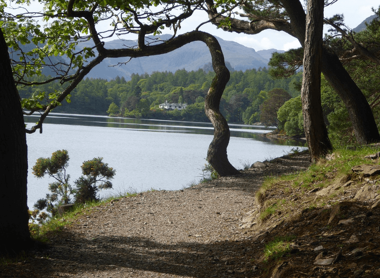 A view through the trees on the lake shore of the North Lakes Short Break walking holiday