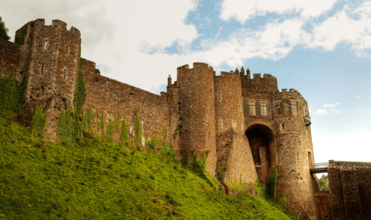 Top 10 Autumnal Walks: the North Downs Way