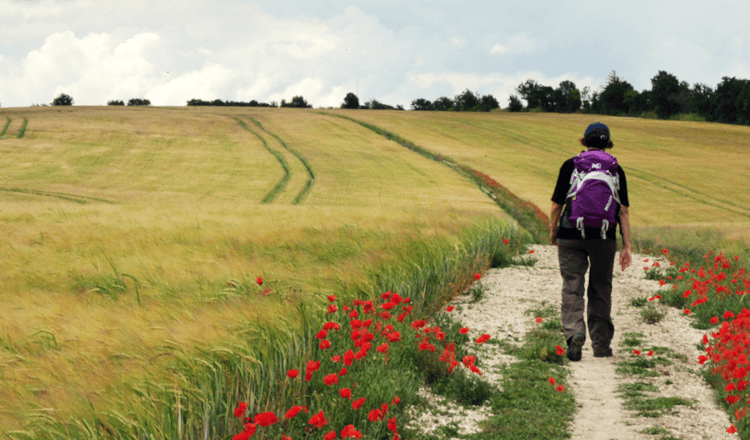 A walker follows a chalk path through a farmer's field on the North Downs Way, a lesser-known trail in England.