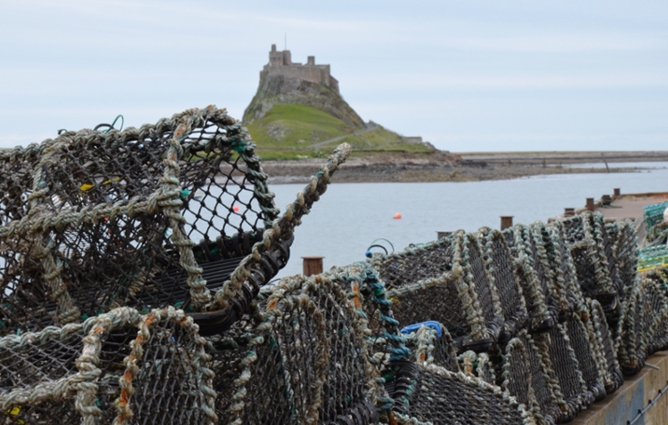 Holy Island on the Northumberland Coast Path