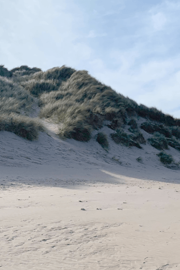 A shot of the pale sandy dunes of the Northumbrian coast.