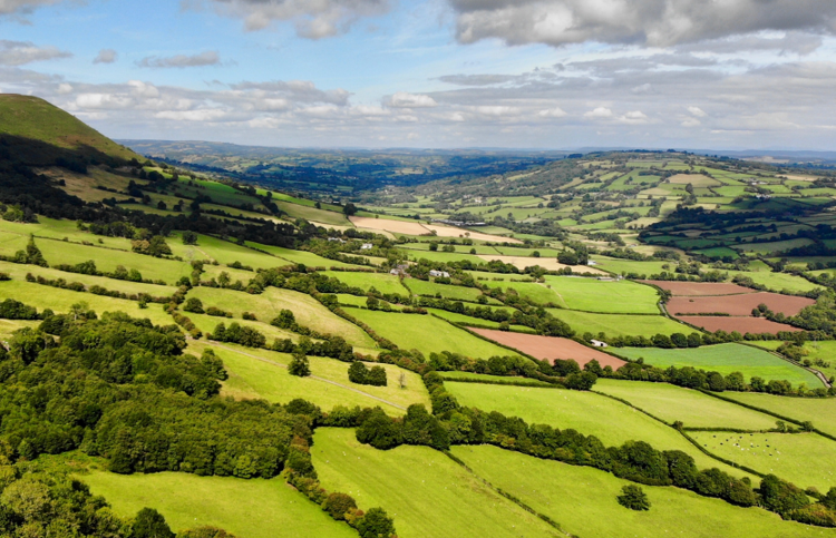 Offa's Dyke Path: Ridge by Tim Carter