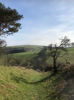 Shropshire Hills Walking Holiday: Offas Dyke Path