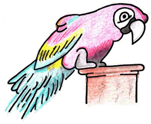 Coast to Coast Tips: Parrots