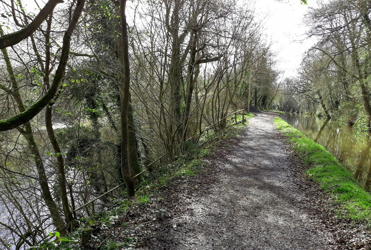 Usk Valley Walk: Between the canal and the river