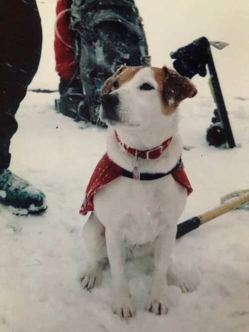 Pip in her mountain rescue gear