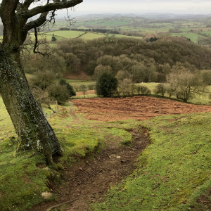 Shropshire Hills Walking Holiday: Ragleth Hill