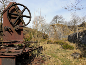 The rusty remains of old machinery nestled in the bushes