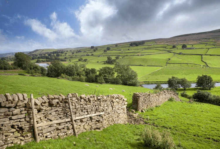 Remote Rambles such as this walk through leafy Swaledale