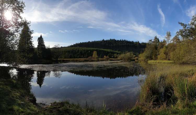 Practising mindfulness at Grizedale Reservoir