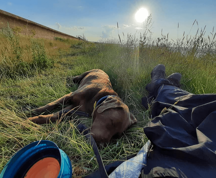 Gino and Christine lounge in the grass beside the coast path to take a break from the bright sun overhead.