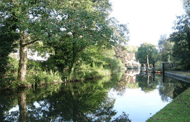 Trees line a river on the Downs Link Path.