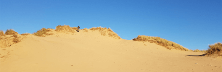 Golden sand dunes at Sandscale Haws Nature Reserve