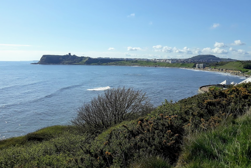 Cleveland Way 50th Anniversary: Clifftops above Scarborough