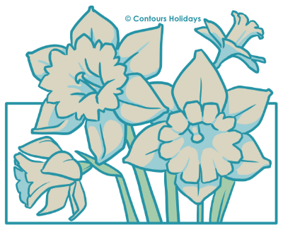 Art of daffodils in the Lake District.