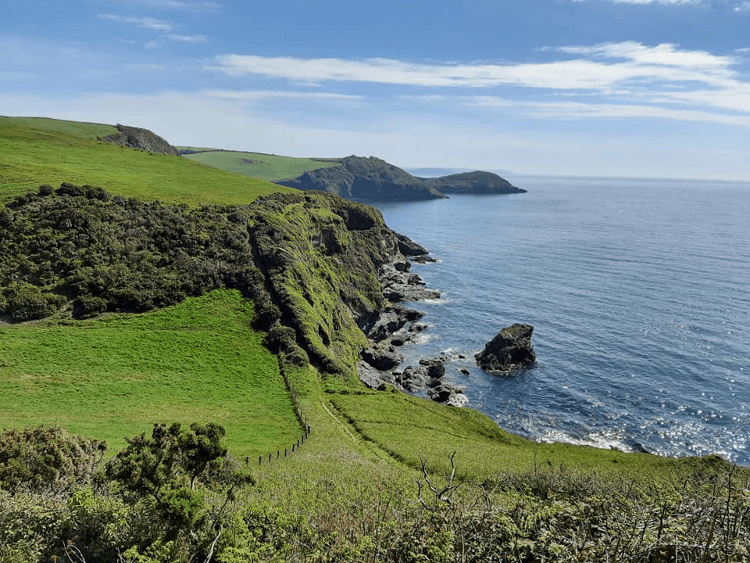 Green, undulating coastline on the South West Coast Path