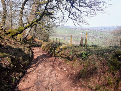 Usk Valley Walk: Sunken Track