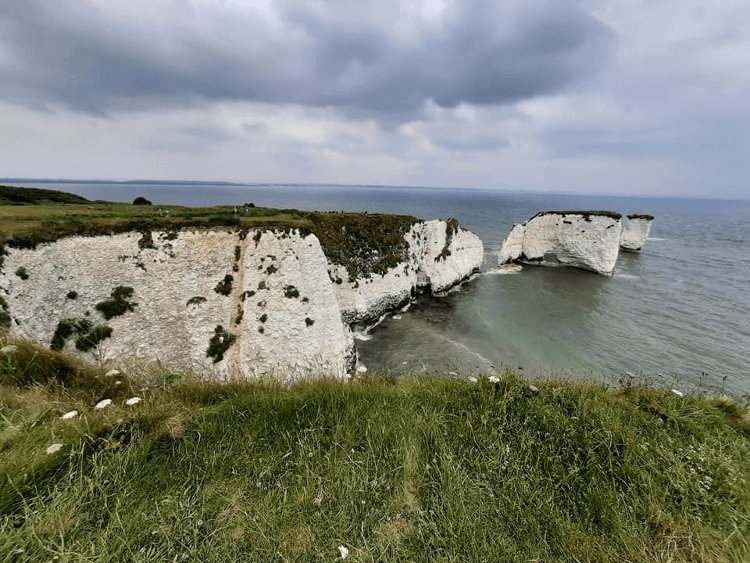 The chalk coastline of the South West Coast Path as seen from a clifftop path, with the chalk cliffs plunging down to the sea.
