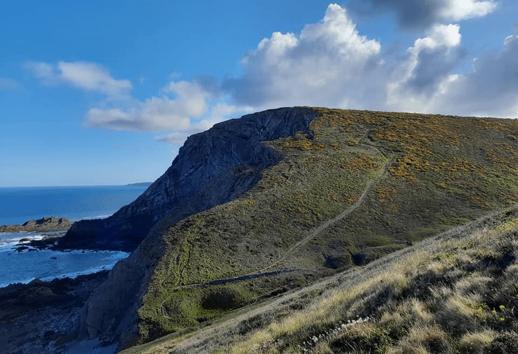 A steep headland rises above the sea on the South West Coast Path