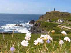 A lighthouse stands on a headland on the South West Coast Path, with daisies growing in the foreground.