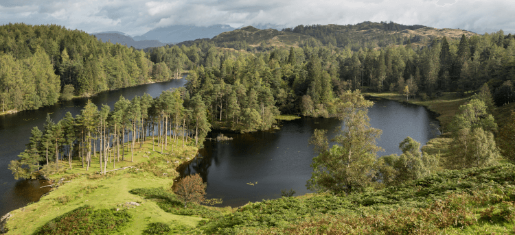 An aerial shot of pretty Tarn Hows, a two-part expanse of grey water split by deciduous trees - its shore the perfect setting for a dog walk.