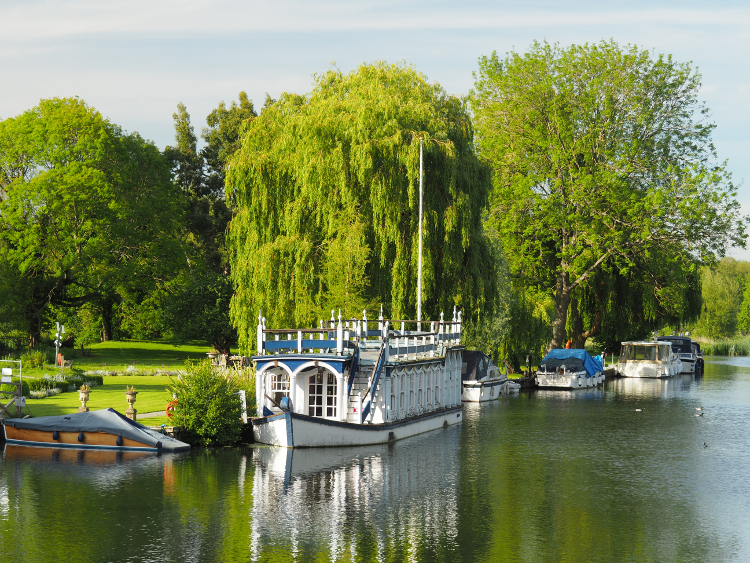 The Ridgeway: Thames at Streatley and Goring by Stuart Inglis