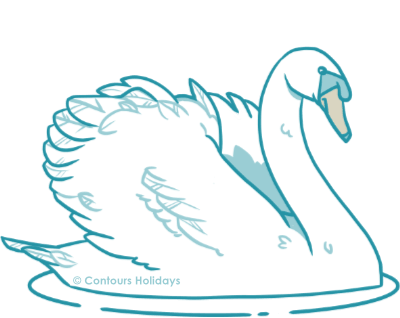 Art of a mute swan, a common sight on the Thames Path.