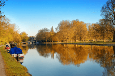 A view over a still stretch of the canal, with boats moored along the left-hand side and trees in autumnal orange on the far bank.