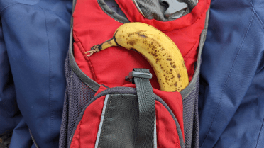 the-banana-sack.png