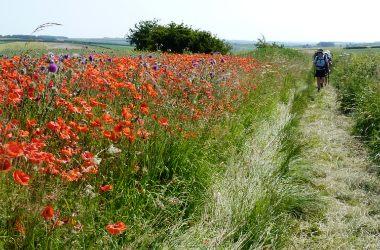 Thixendale on the Yorkshire Wolds Way