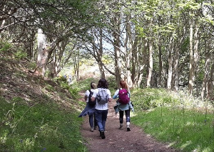 Cleveland Way 50th Anniversary: Contours walk through woodland