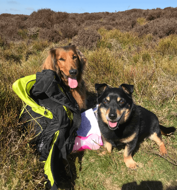 Tia and Ralph pose near a hiking backpack out on the trail.