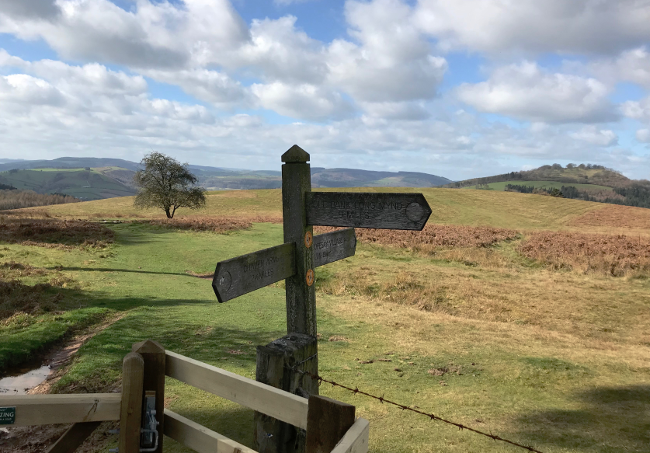 Shropshire Hills Walking Holiday: To Craven Arms