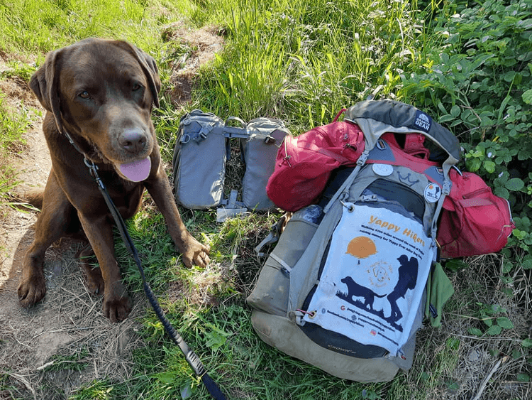 Gino sits beside Christine's pack, which she has strapped his backpack to.