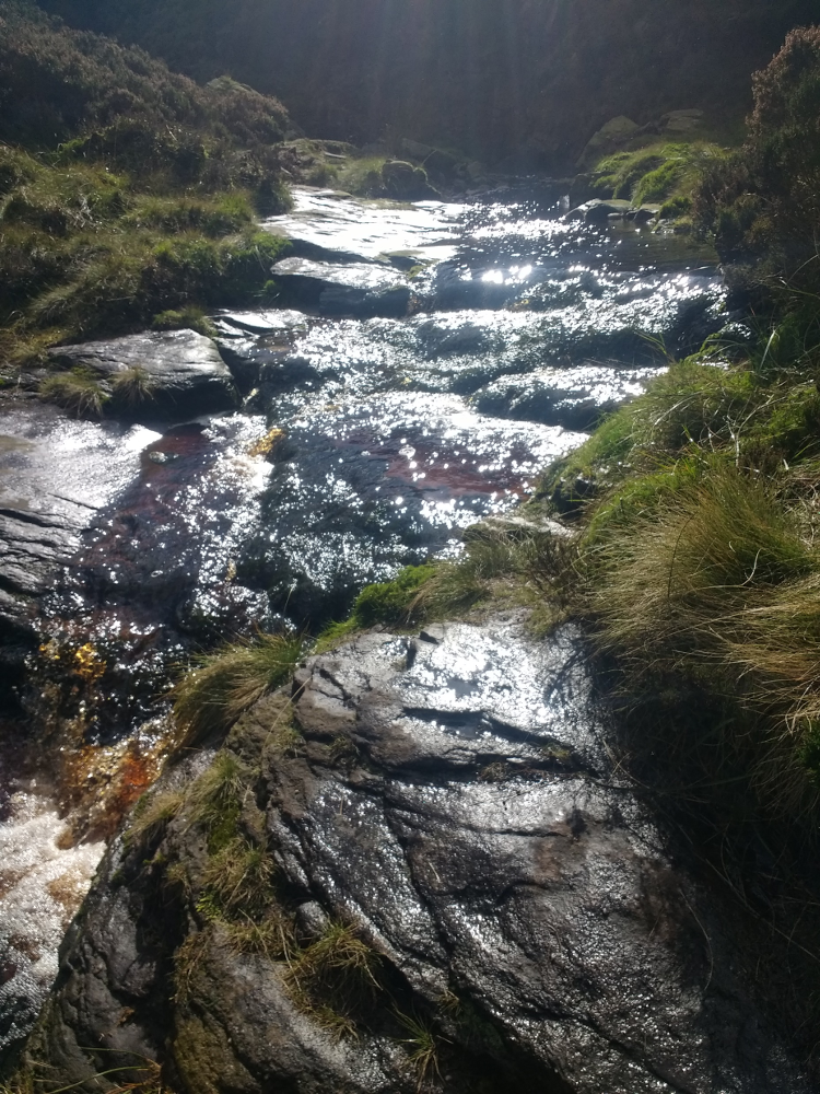 The view over Torside Clough.