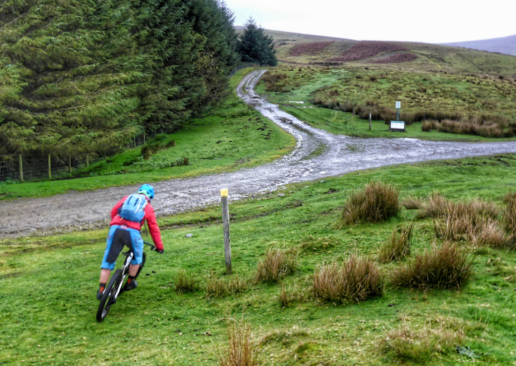 Cycling down to a fork in the Trans Cambrian Way, woods to one side and moor to the other