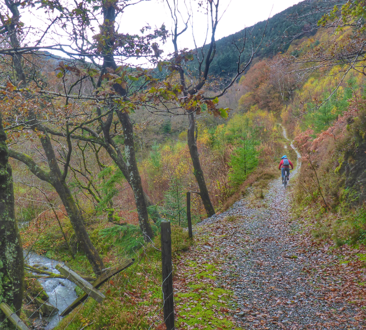 Riding a long, thin bridleway between autumn trees