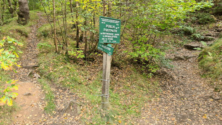two-paths-to-choose-from.png