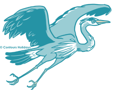 Art in the Contours Holidays colours of a heron, a common site on the long riverside stints of the Tamara Coast to Coast Way in walking holiday in Cornwall.