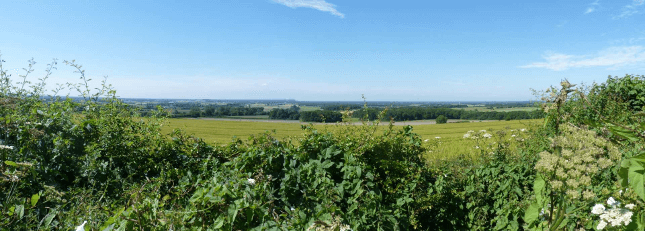 Blue skies and pretty greenery on the Yorkshire Wolds Way, a great first walking holiday.