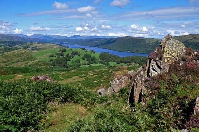 Views down over Coniston Water on this great nature walk.